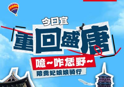 噫~起猛嘞，貴妃娘娘騎著臺鈴來洛陽撒歡了！